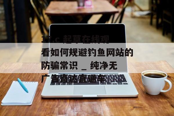 17.c 起草在线观看如何规避钓鱼网站的防骗常识 _ 纯净无广告直达直通车